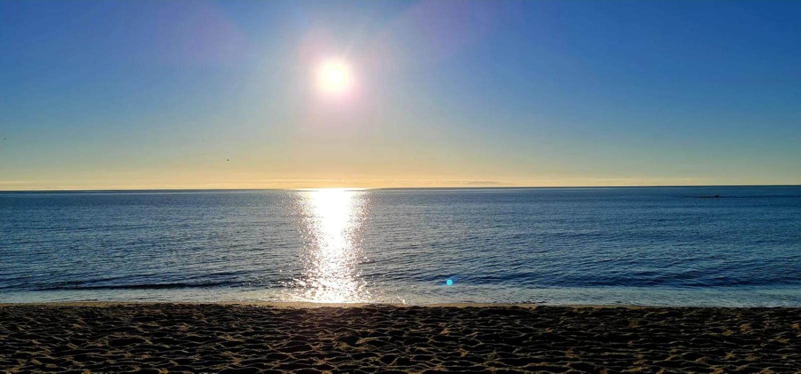 Magic Benalbeach By Benalnova Lejlighed *